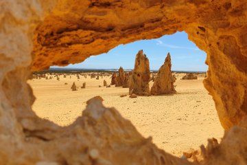 Koala, Lancelin, Wedge Island and Pinnacles Tour from Perth