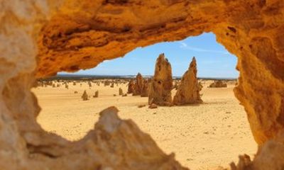 Koala, Lancelin, Wedge Island and Pinnacles Tour from Perth