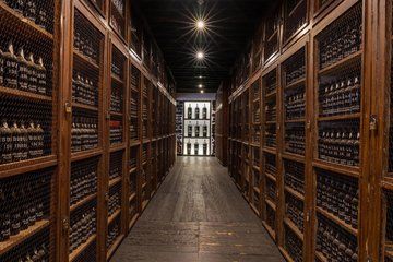 German Guided Madeira Wine Tour