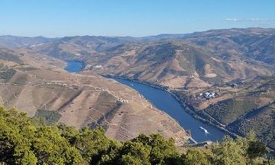 Douro Valley Private Tour from Porto