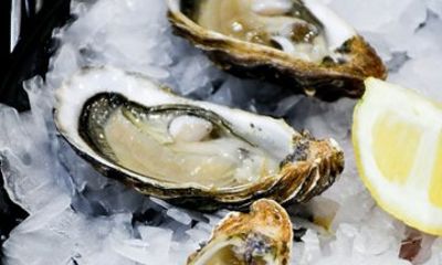Wine tasting and Oyster bar Private Tour