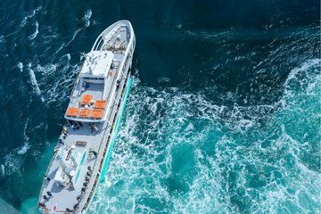 World Famous Naruto Whirlpools and Awa Odori Festival Day Tour