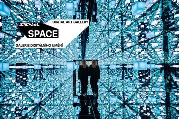 Signal Space Admission Fee