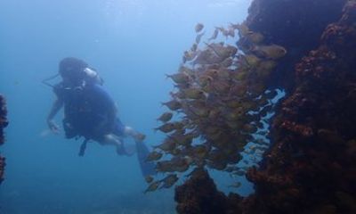 Dive Baptism All Saints Bay Snorkel or Cylinder