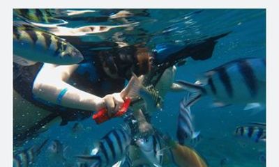 Bali Snorkeling: Blue Lagoon &Tanjung Jepun with Lunch & Transfer