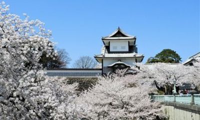 Kanazawa Feudal Capital Highlights (Kenrokuen & Chaya)