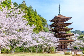 Mojiko, Kokura Castle Karato Market, & Miyajidake Shrine Day Tour