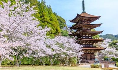 Mojiko, Kokura Castle Karato Market, & Miyajidake Shrine Day Tour