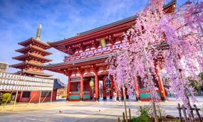 Tokyo First Day Private Tour Must See Local Food and Hotel Pickup