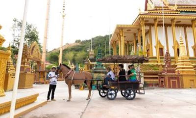 Siem Reap Horse Drawn Tour Experience