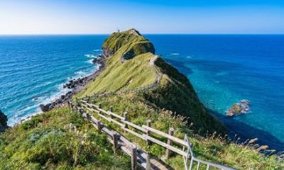 Private 1-Day Tour of Cape Kamui and Fruit Picking From Sapporo