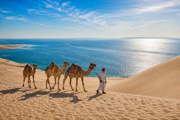 Private Qatar Desert Safari with Inland Sea, Camel Ride & 4x4