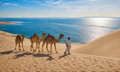 Private Qatar Desert Safari with Inland Sea, Camel Ride & 4x4