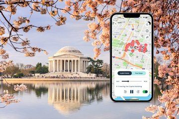 Private Guided Tidal Basin Walking Tour in DC