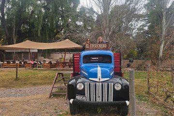 Winery Tour in Maipu 3 Tastings Lunch and Olive Tree