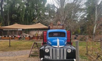Winery Tour in Maipu 3 Tastings Lunch and Olive Tree