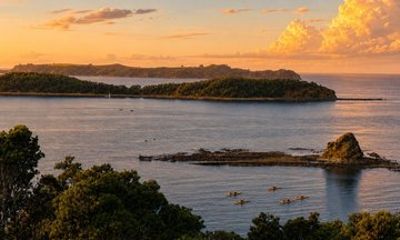Auckland Private Motuora Island Kayak and Kiwi Encounter