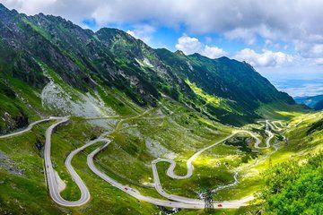 Brown Bears Watching Tour on Transfagarasan Road