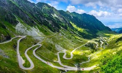 Brown Bears Watching Tour on Transfagarasan Road