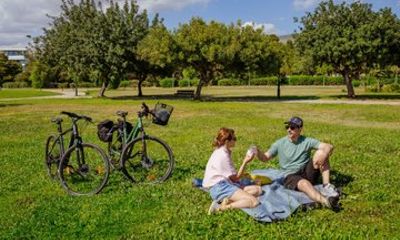 Athens Riviera Bicycle Rental and Picnic Experience