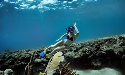 Snorkeling Adventure Aguadilla