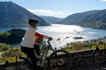 Full Day E-Bike and RIB Fjord Safari Tour from Bergen