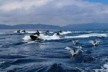 Guided Dolphin Jet Ski Adventure | Long Beach to Catalina Island