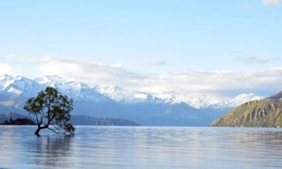 Wānaka Day Tour from Queenstown Scenic Drive and Lakeside