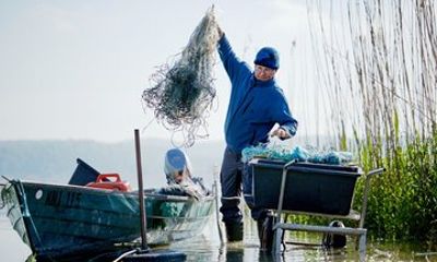 Riebels Sailor's yarn and cuisine
