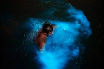 Luminous Lagoon Experience in Jamaica