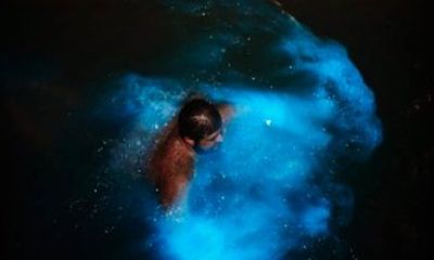 Luminous Lagoon Experience in Jamaica