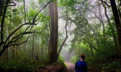 Challenging Hike to the Hill of Frogs Explore an Ancient Volcano