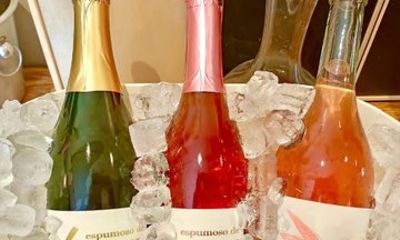 Pvt Shore Excursion: Sparkling Wines and Baja Cuisine