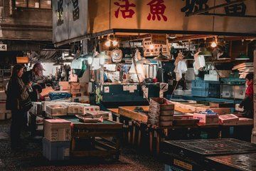 Tokyo TeamLab Planets and Toyosu Fish Market Experience