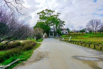 Fukuoka Sacred Sites Half Day Tour with Private AC Car and Guide