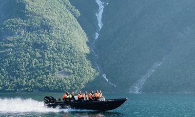 Coastal Safari by RIB from Ålesund