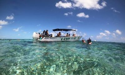Caye Caulker Marine Reserve and South Channel Half Day Snorkeling
