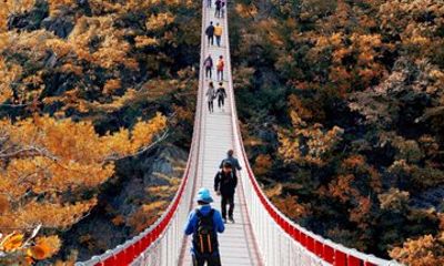 Explore Seoul's Haneul Park by Bus