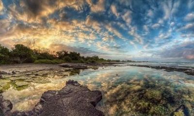 Private Kona Highlights Coffee Estate and National Park Wonders