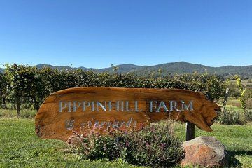 Guided Wine Experience Tour