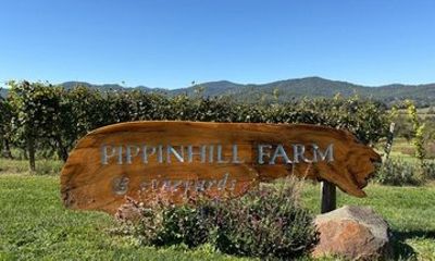 Guided Wine Experience Tour