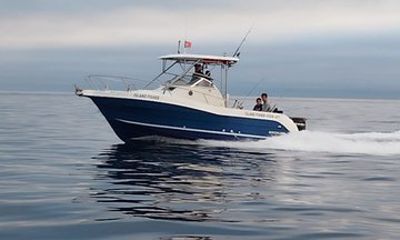 Terceira Island: Sports fishing