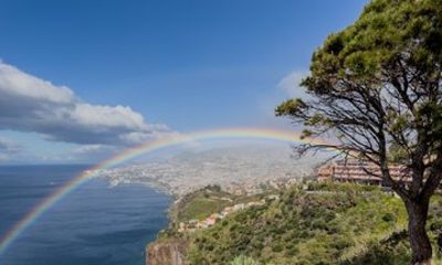 Madeira: Old Town, Garajau & Mountains Tuk-Tuk Tour