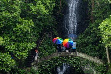 Private Half Day Tour from West Lake to Nine Creeks