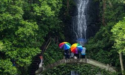 Private Half Day Tour from West Lake to Nine Creeks