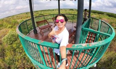 Private Vam Sat Mangrove Forest Can Gio Biosphere Reserve Tour
