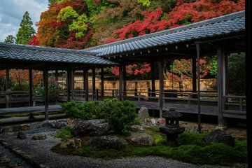 Kyoto Your Way: Private Custom Tour with English-Speaking Driver