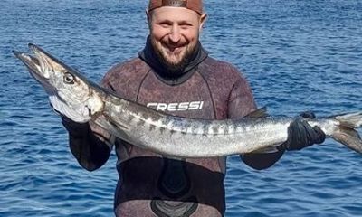 Azores Spearfishing Gear Rental in Faial Island