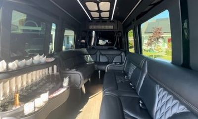 Private Luxury Sprinter Limousine Van Transfer 13 Passenger
