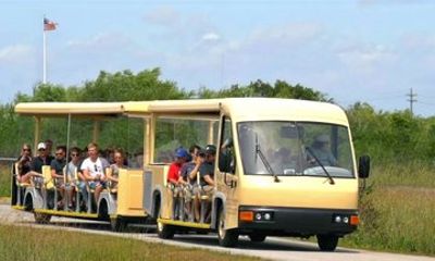 From Miami: Everglades Nature and Wildlife Tram Adventure